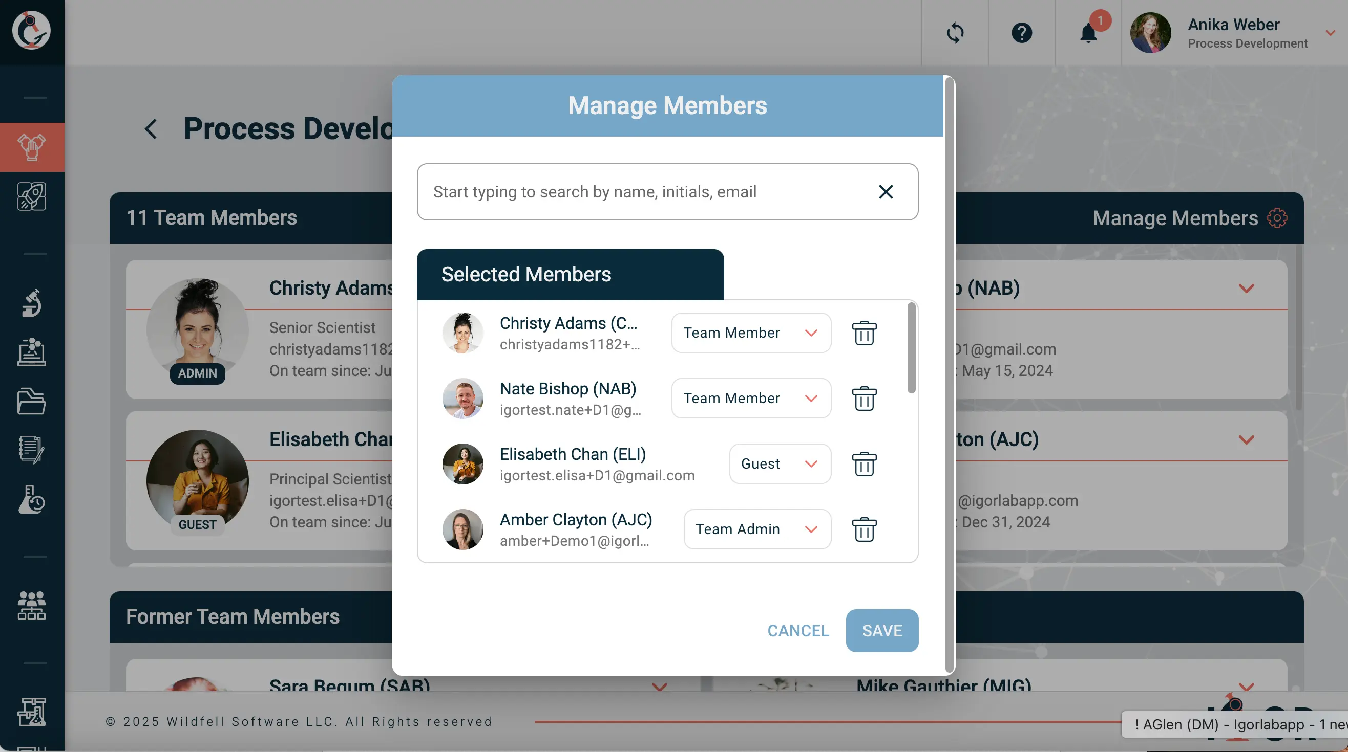 Screenshot of the "Manage Members" interface in IGOR showing selected team members, their roles (Team Member, Guest, Team Admin), and options to search, change roles, or remove users from the workspace.