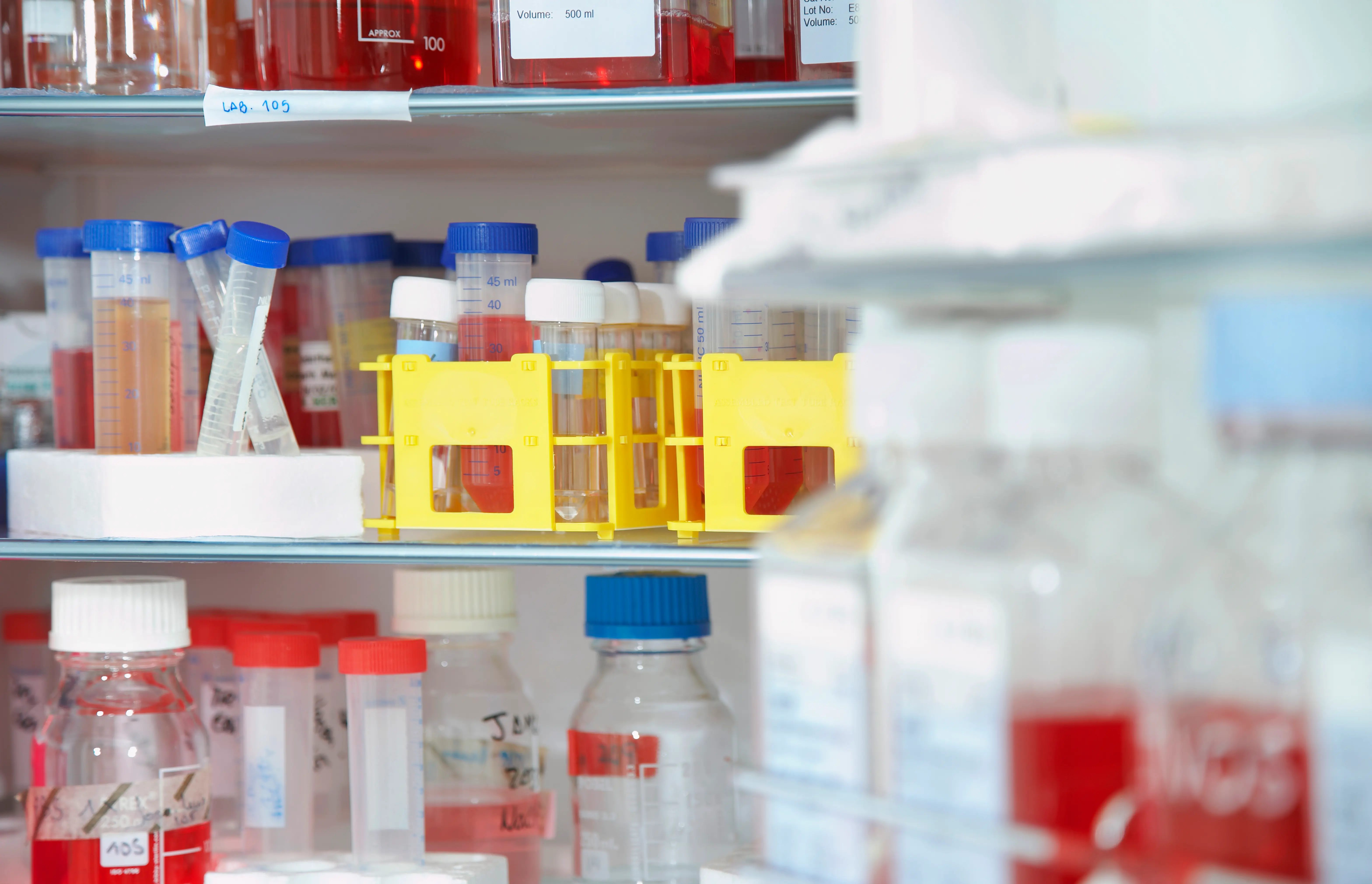Laboratory shelf stocked with reagent bottles, conical tubes, and cell culture media in a research lab.