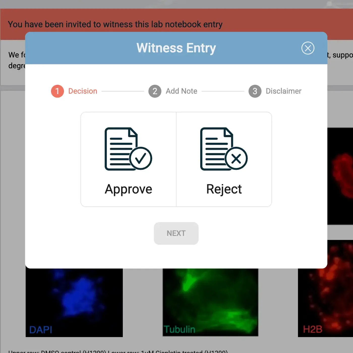 IGOR Witness Entry dialog with Approve and Reject options for a lab notebook entry that a colleague has been invited to witness.