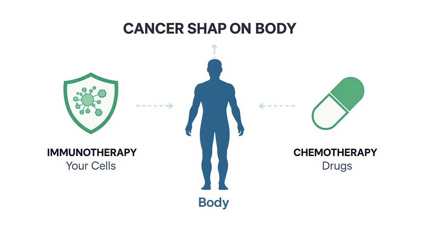 Infographic about what is immunotherapy for cancer