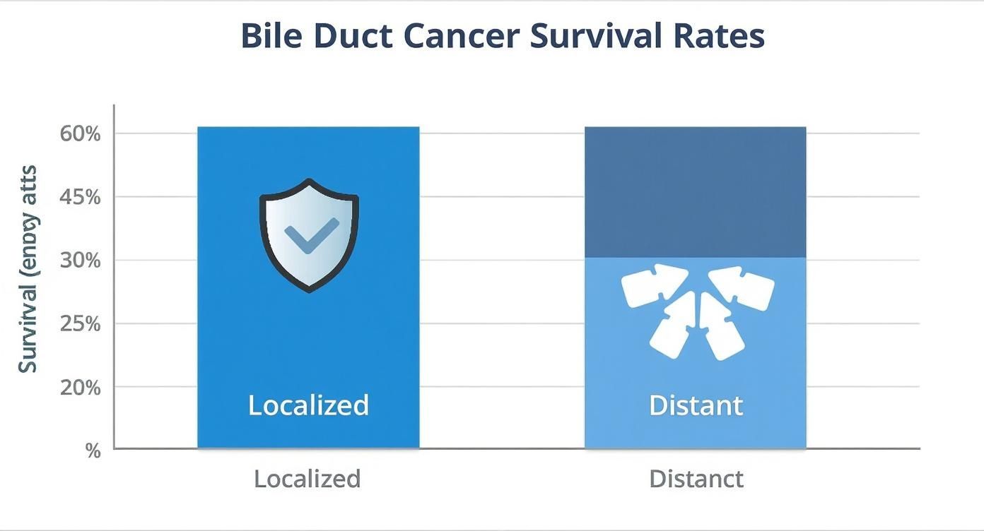 Infographic about bile duct cancer survival
