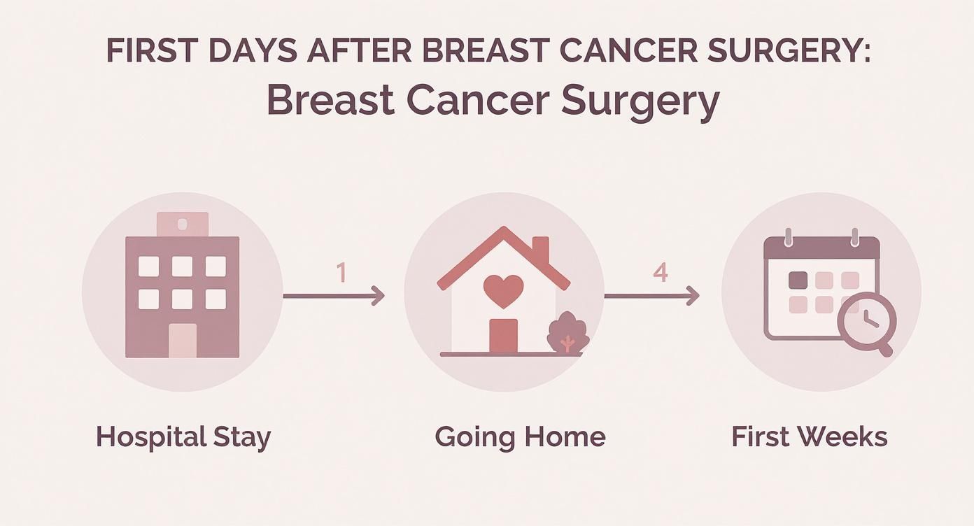 Infographic about after breast cancer surgery