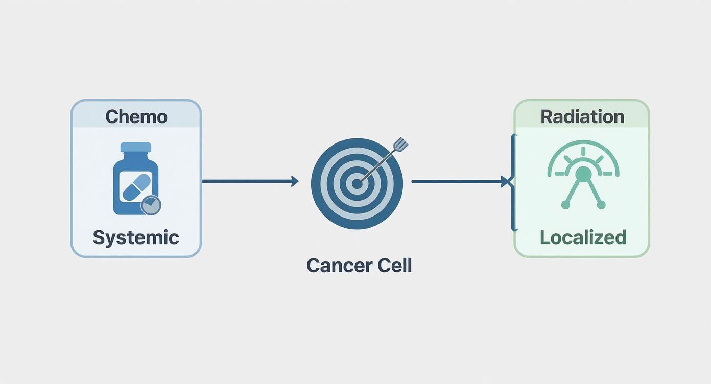 Infographic about chemo and radiation