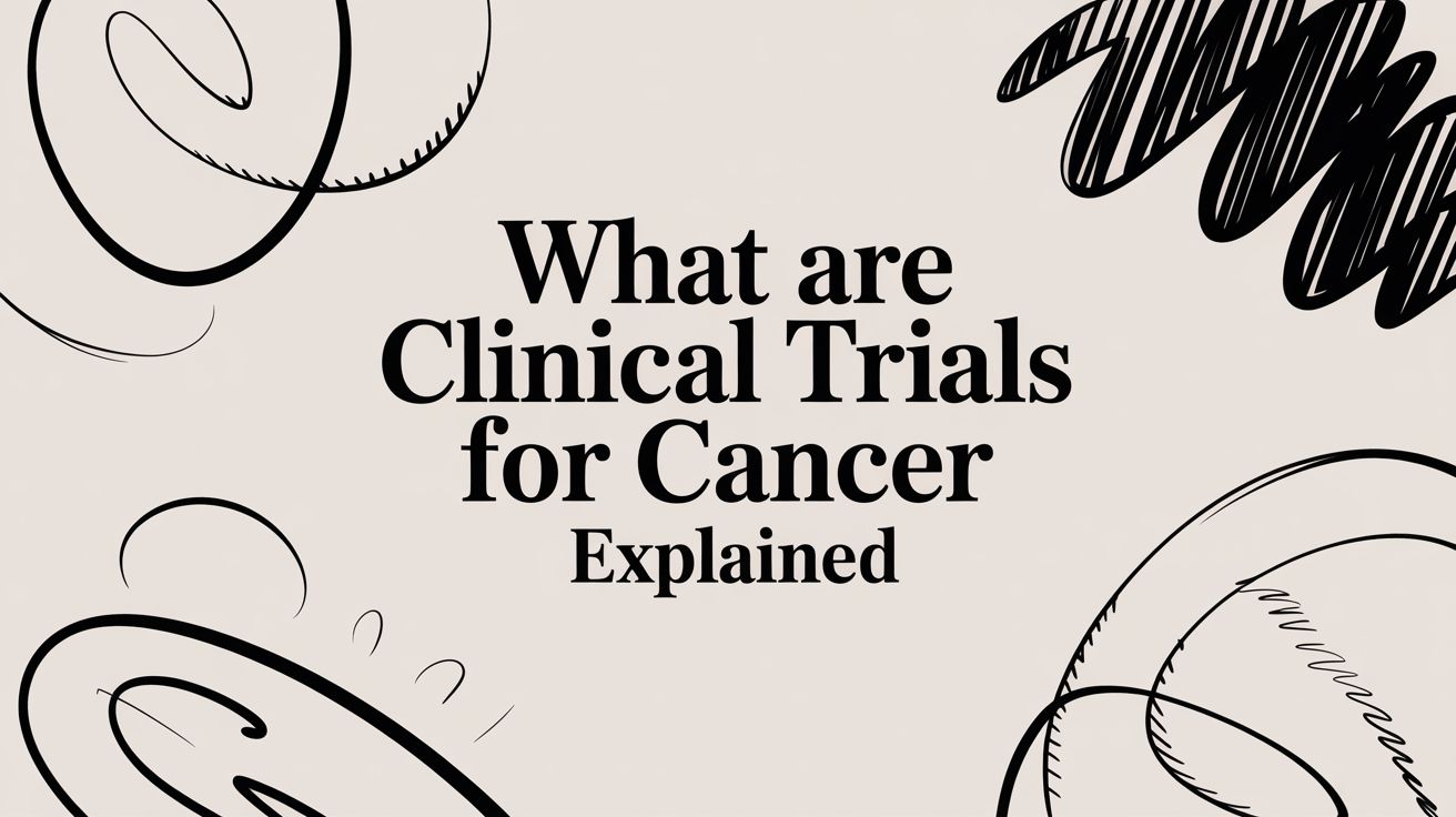 What Are Clinical Trials for Cancer Explained