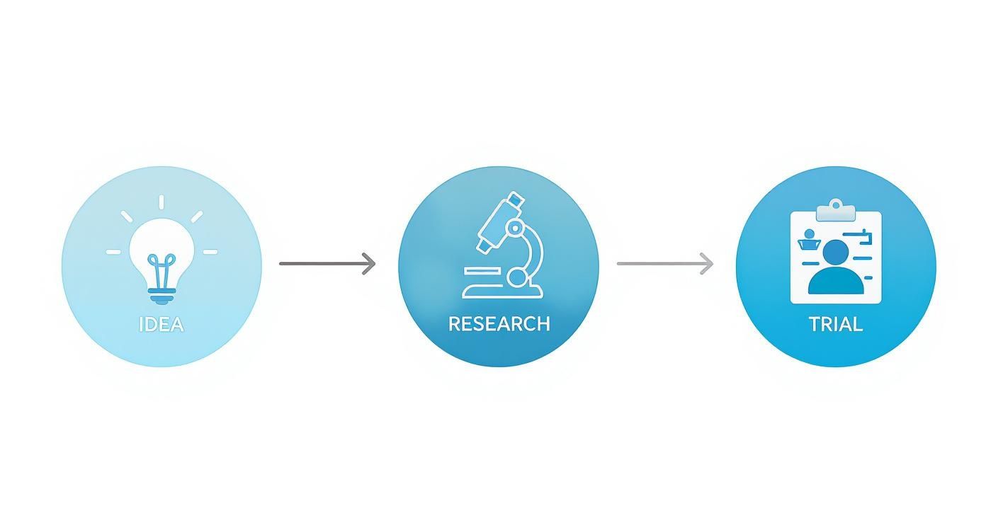 A three-step process diagram showing Idea (lightbulb), Research (microscope), and Trial (clipboard with person).