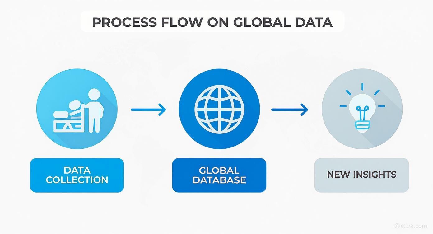 Process flow diagram showing data collection leading to a global database and then new insights.