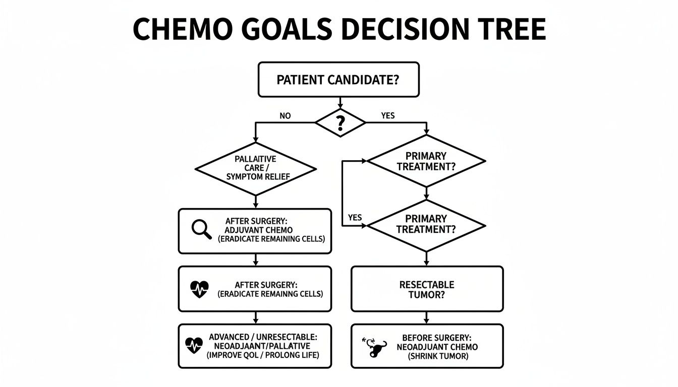 A flowchart showing a chemotherapy goals decision tree for cancer treatment pathways.