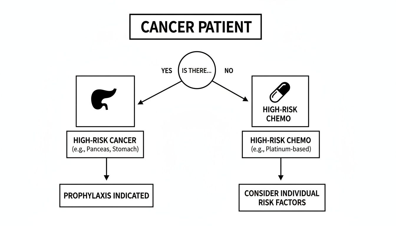 Flowchart for cancer patient risk assessment, considering high-risk cancer or high-risk chemotherapy for prophylaxis.