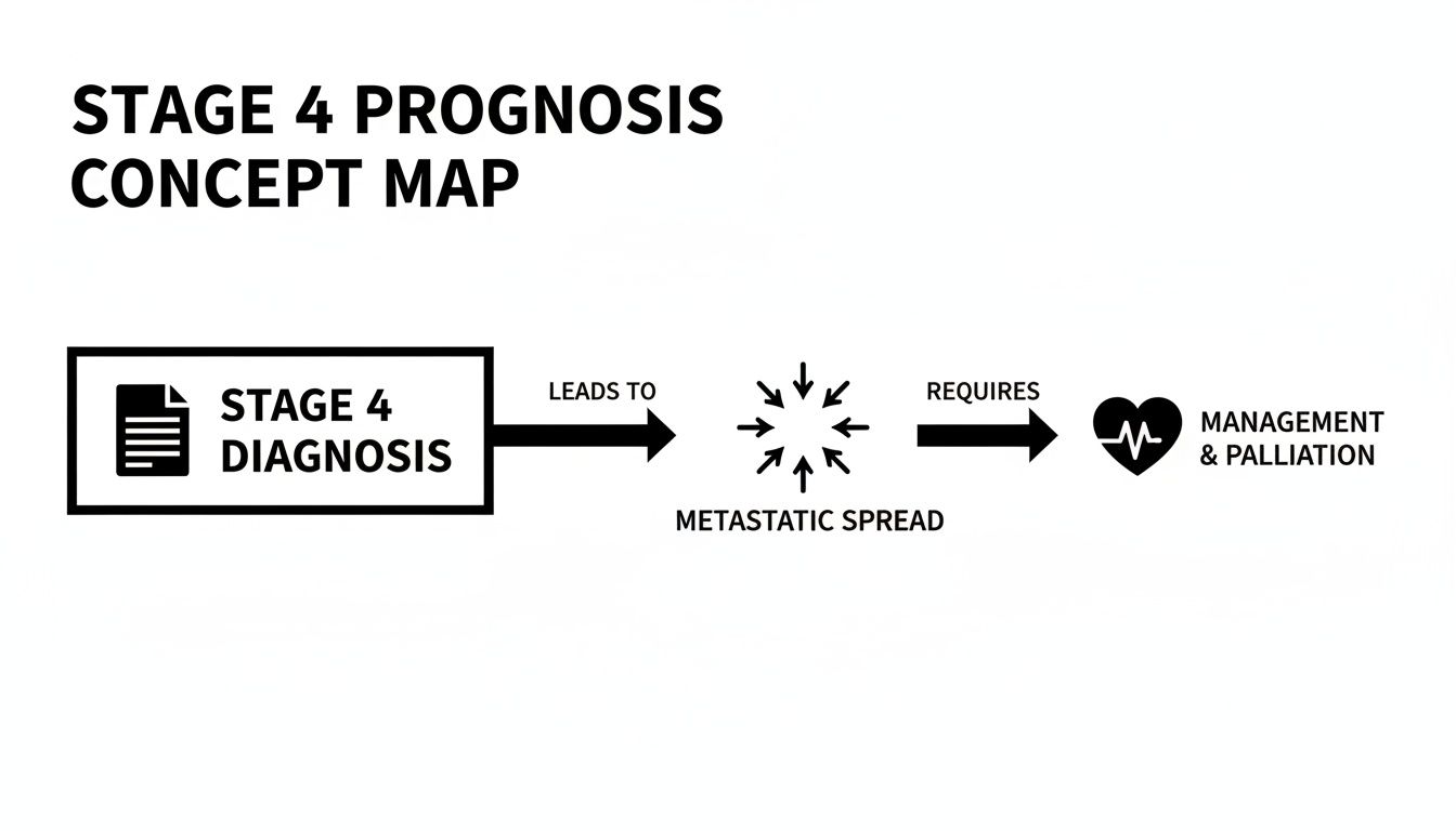 Concept map showing Stage 4 Diagnosis leading to metastatic spread, requiring management and palliation.