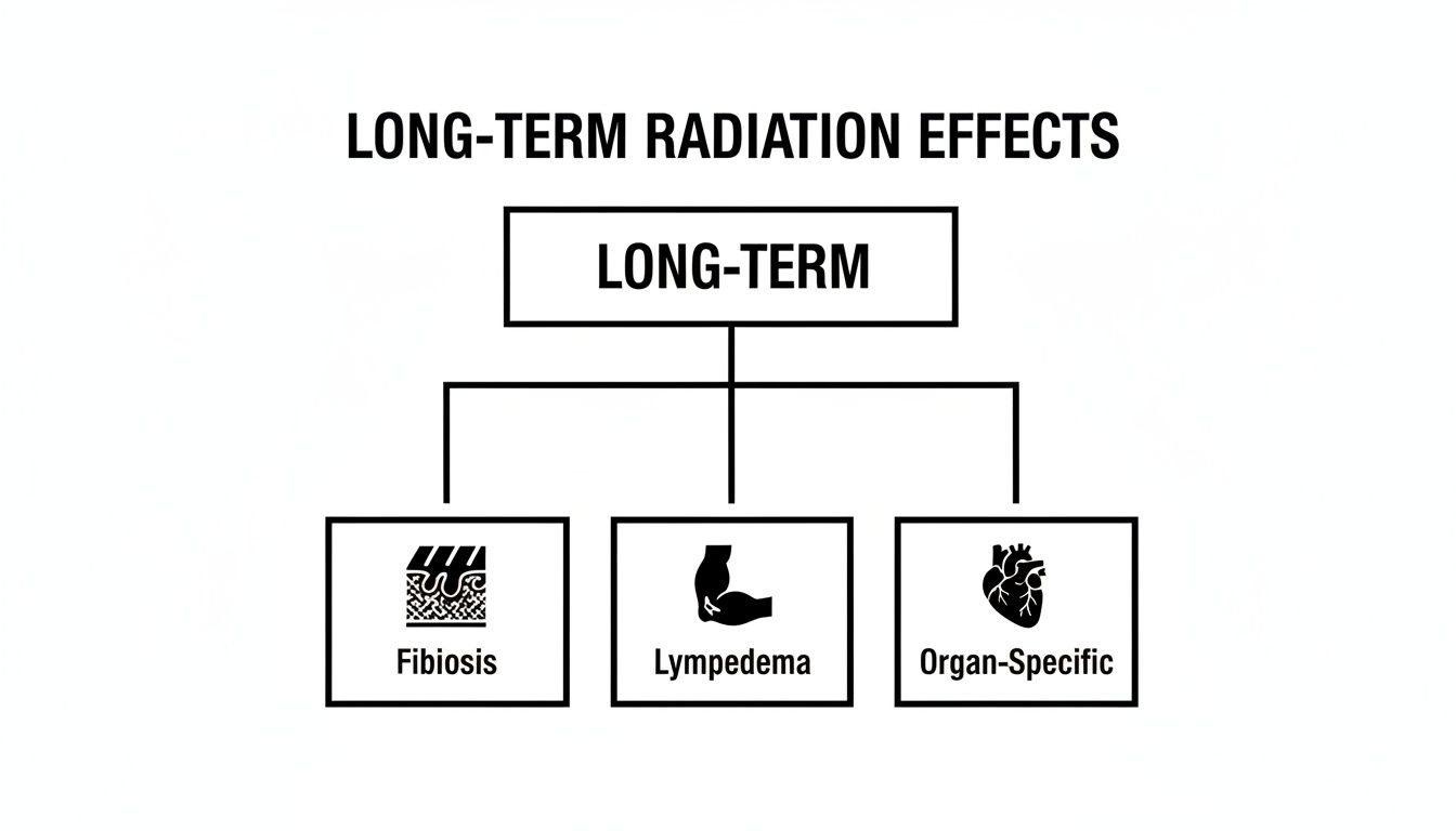 A flowchart illustrates the long-term effects of radiation, detailing fibrosis, lymphedema, and organ-specific damage.