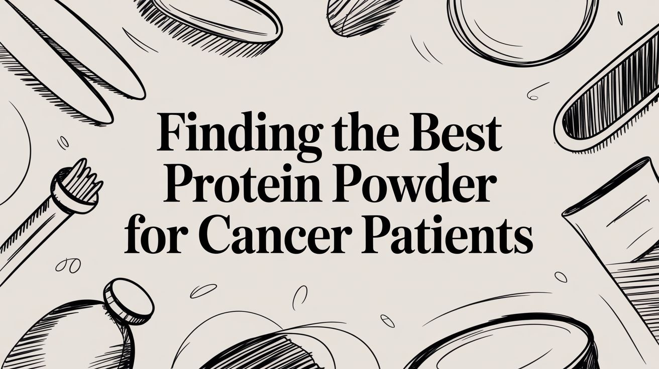 Finding the Best Protein Powder for Cancer Patients