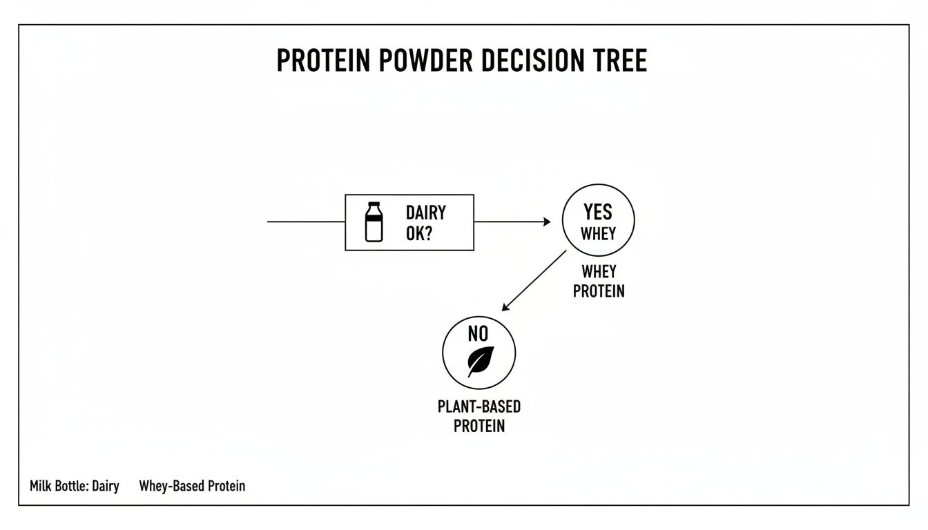 A decision tree guiding protein powder choice: if dairy is okay, choose whey; otherwise, plant-based.