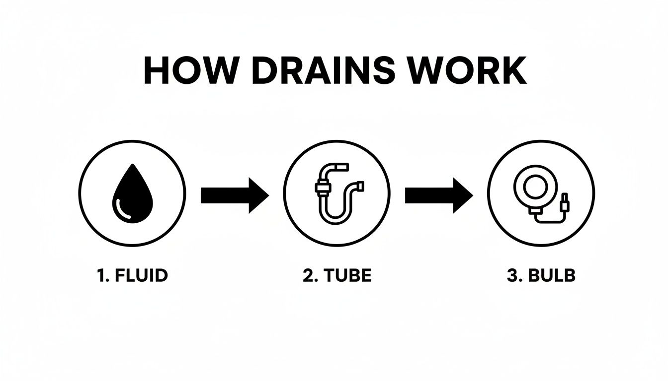 Diagram showing how drains work, illustrating fluid moving through a tube to a collection bulb.