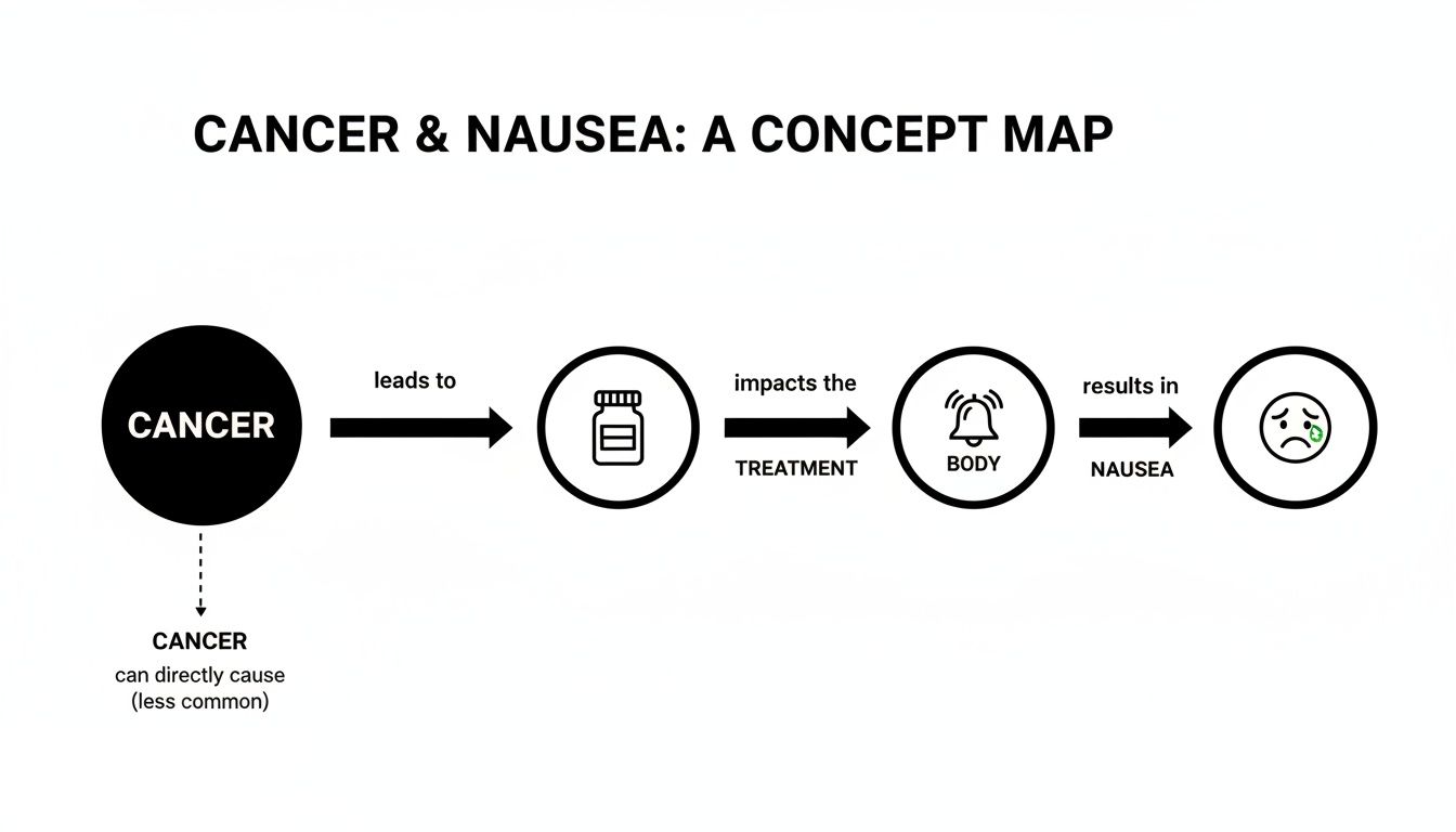 Concept map showing how cancer leads to treatment, impacts the body, and causes nausea.