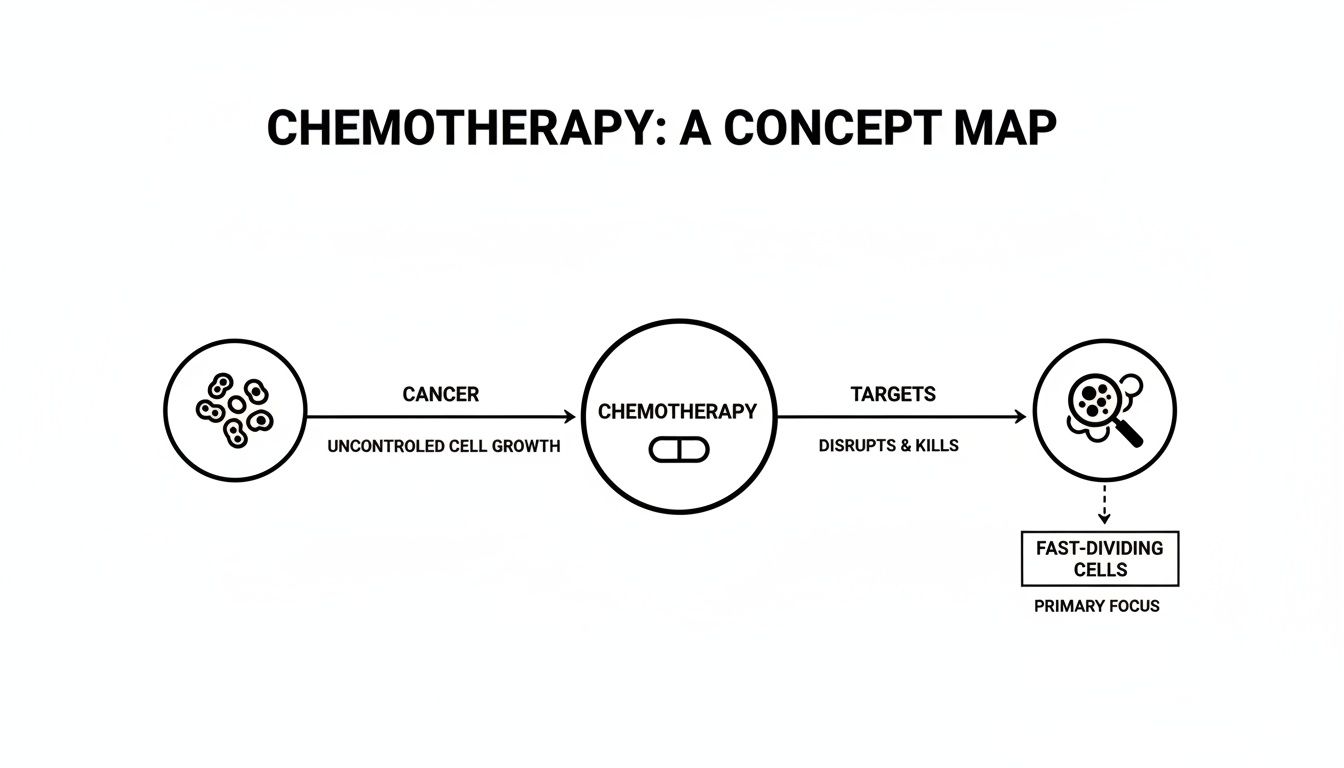 A concept map illustrating how chemotherapy works, targeting and disrupting fast-dividing cancer cells.