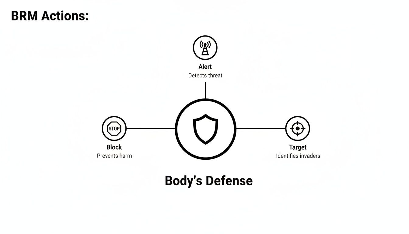 BRM Actions diagram: Alert detects threat, Block prevents harm, Target identifies invaders, all as Body's Defense.