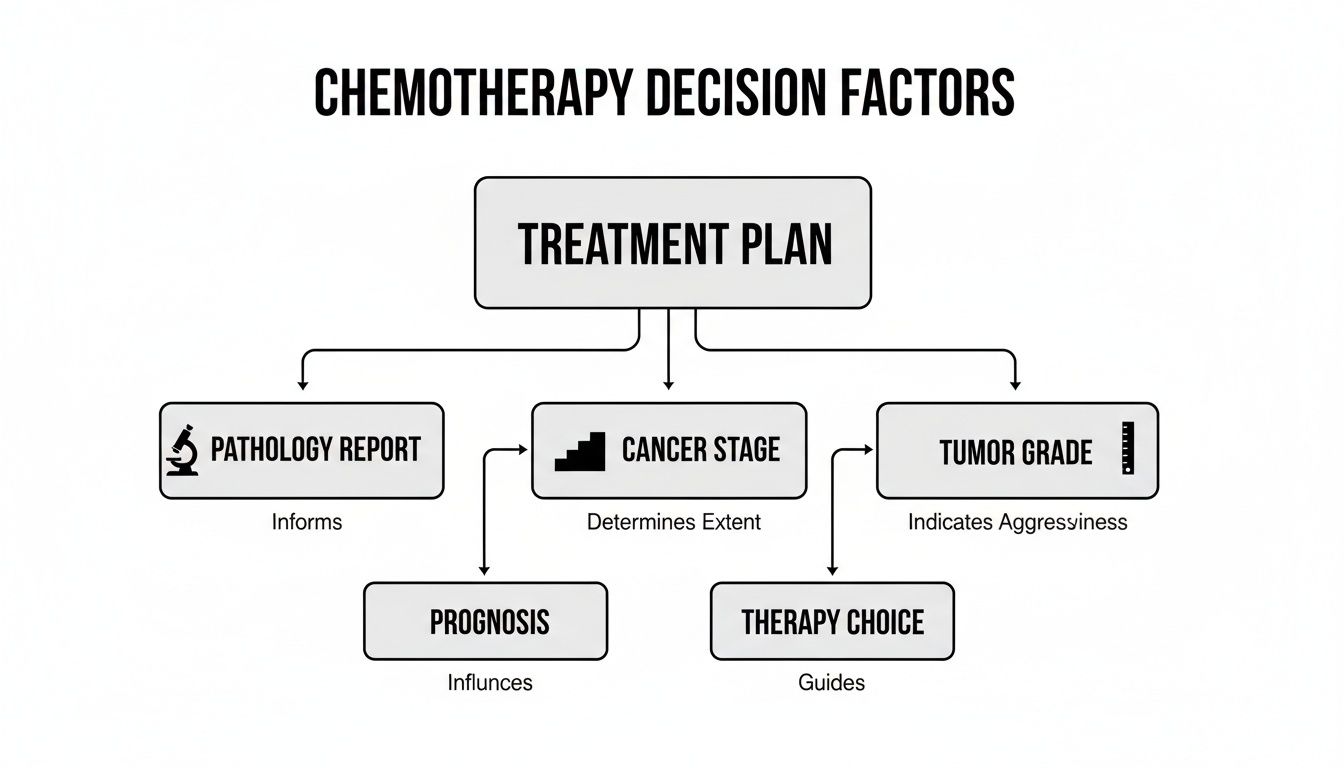 Flowchart illustrating chemotherapy decision factors including pathology report, cancer stage, and tumor grade influencing treatment plan, prognosis, and therapy choice.