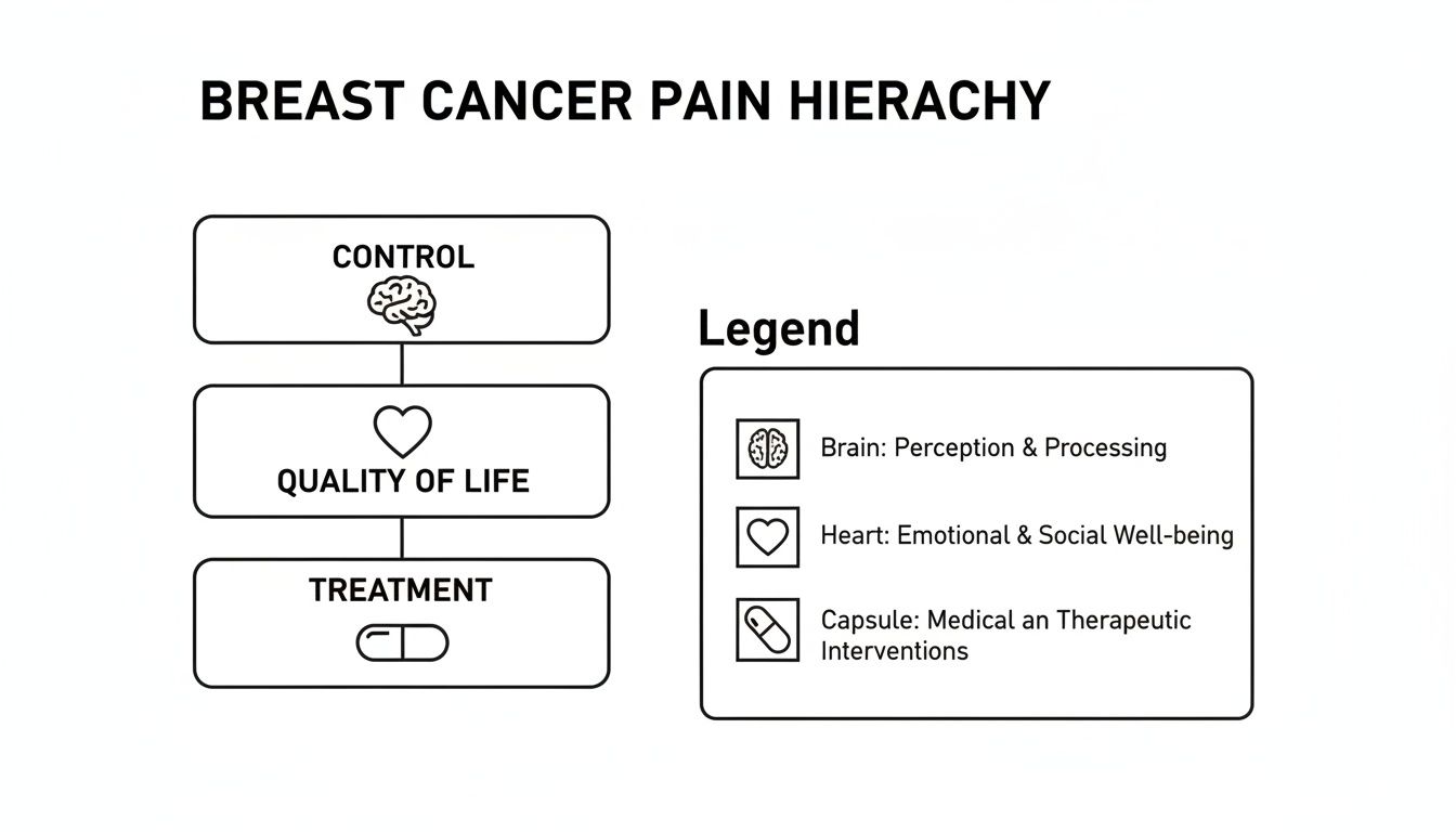 Hierarchy diagram illustrating breast cancer pain management levels: Control, Quality of Life, and Treatment.