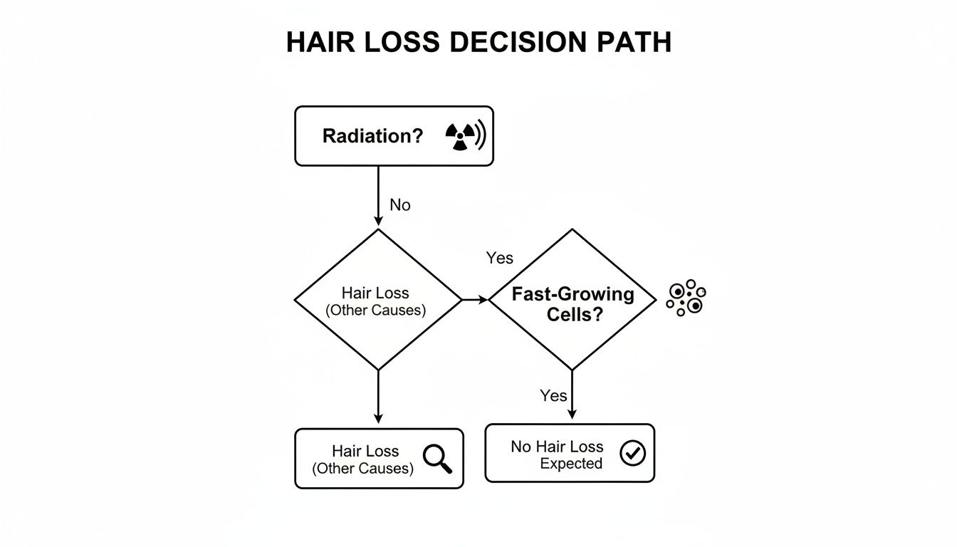 Flowchart illustrating the hair loss decision path, considering radiation, other causes, and fast-growing cells.