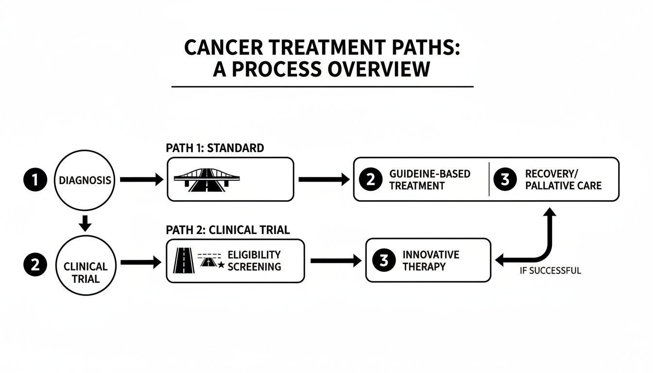 Flowchart showing two cancer treatment paths: standard and clinical trial, from diagnosis to care.