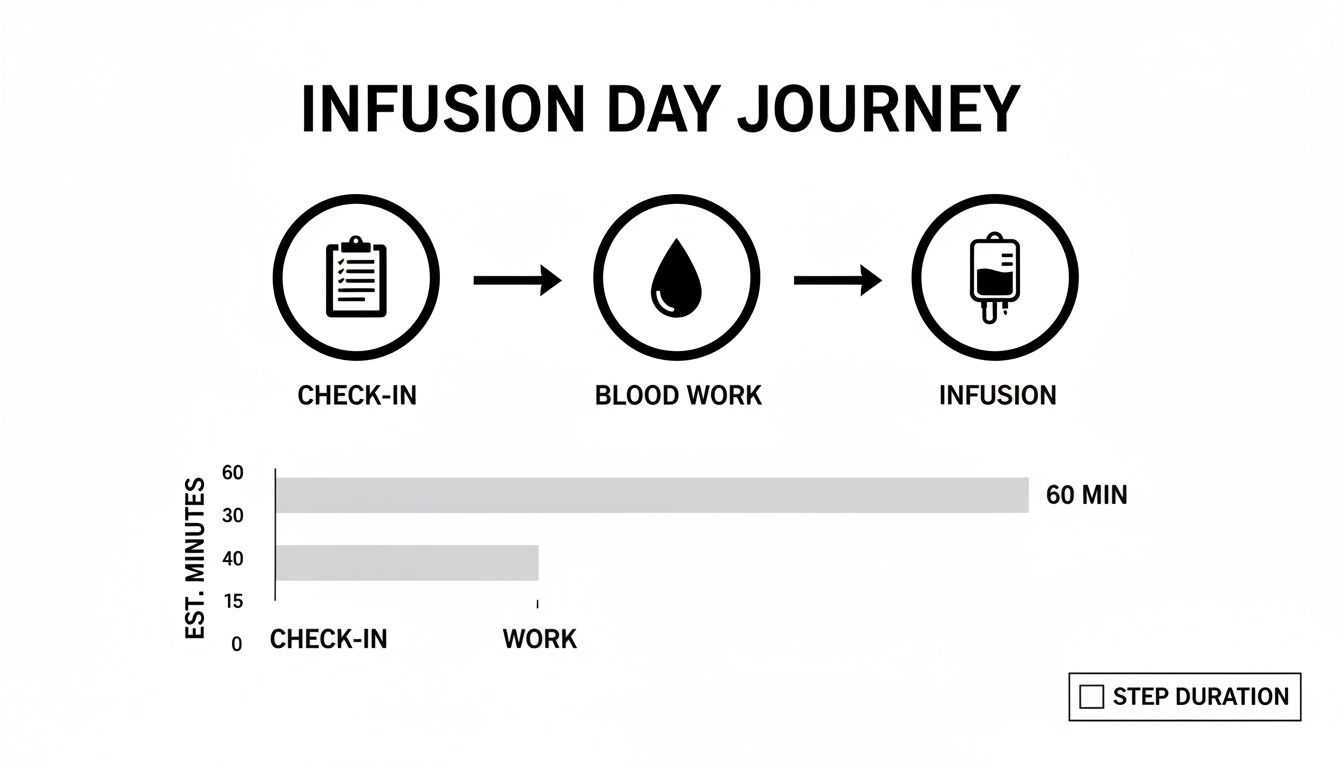 Infusion day journey flowchart with icons for Check-in, Blood Work, and Infusion, with estimated time durations.