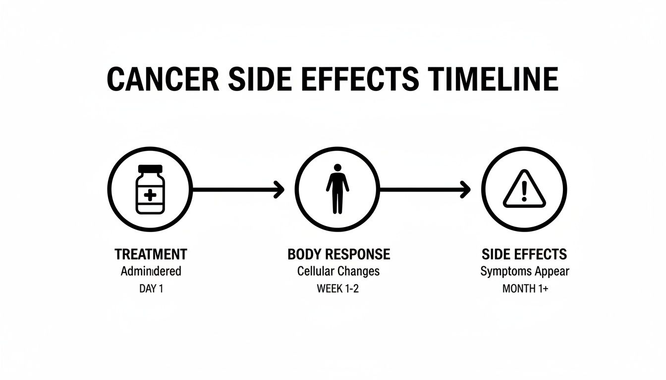 Timeline illustrating cancer treatment, body response with cellular changes, and the appearance of side effects.