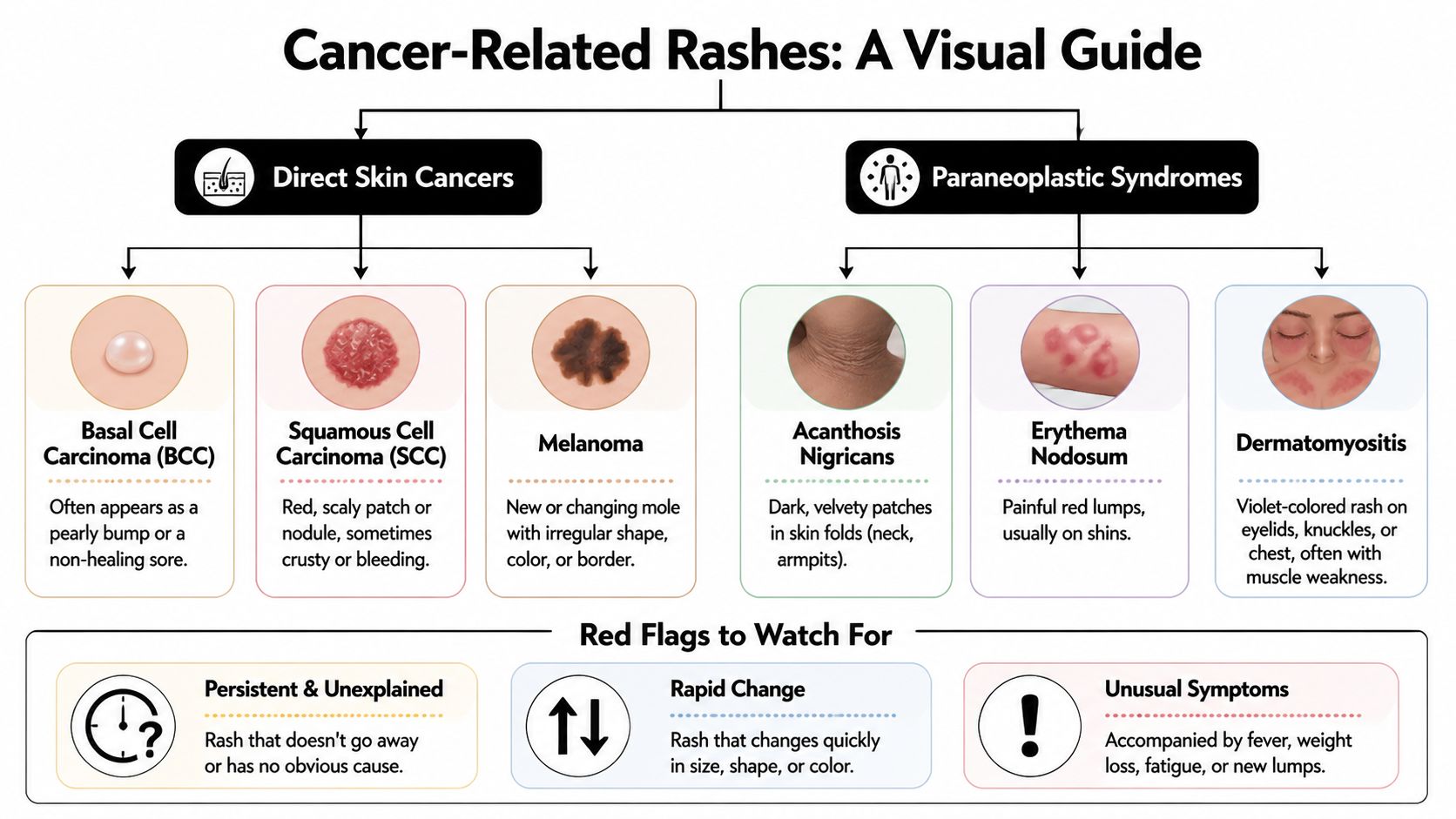 A visual guide classifying skin cancers and paraneoplastic syndromes, including descriptions of common symptoms and warning signs.