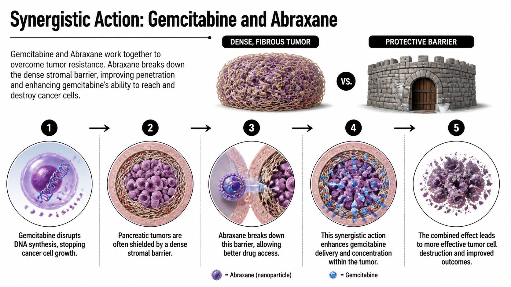 A diagram illustrating how Gemcitabine and Abraxane work together to destroy pancreatic tumors by breaking down barriers.