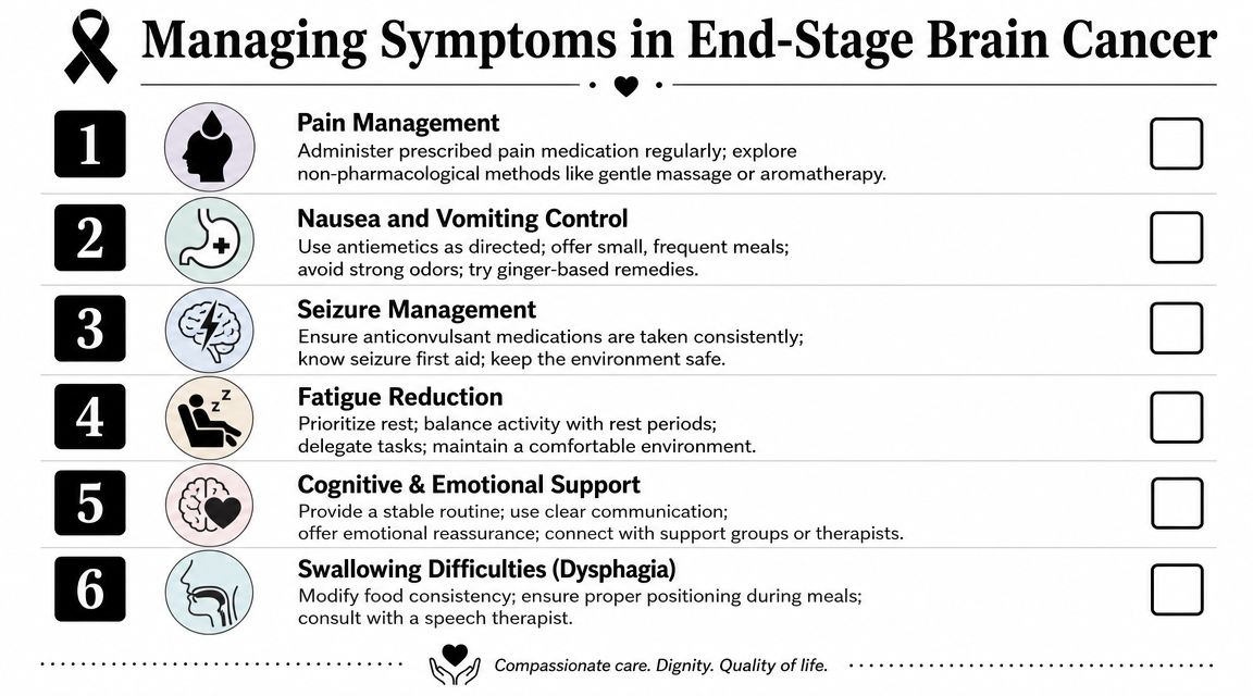 A checklist for managing symptoms in end-stage brain cancer, including pain, nausea, seizures, fatigue, and dysphagia.