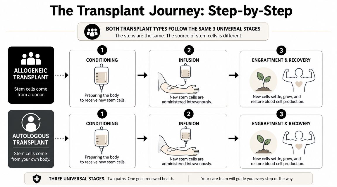 A diagram comparing the steps of allogeneic and autologous stem cell transplants, which share three universal stages.