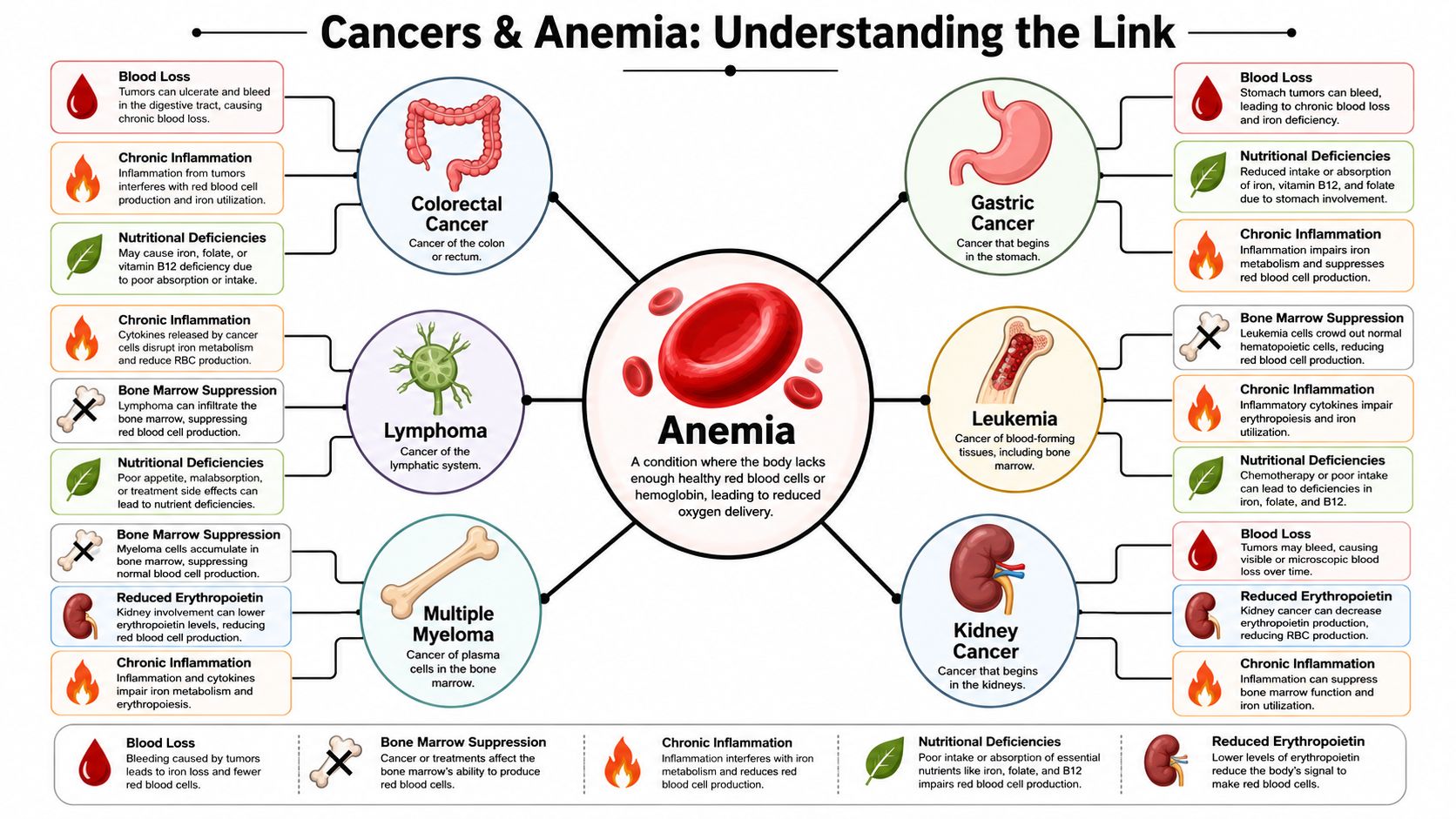 Specific Cancers That Often Cause Anemia
