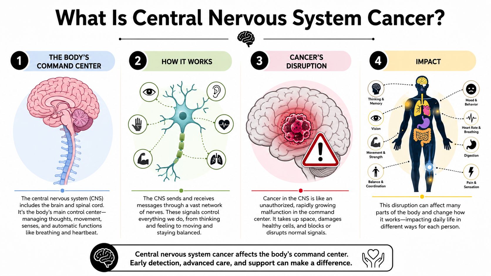 An infographic titled What Is Central Nervous System Cancer explaining the brain, nerves, tumor growth, and bodily impacts.