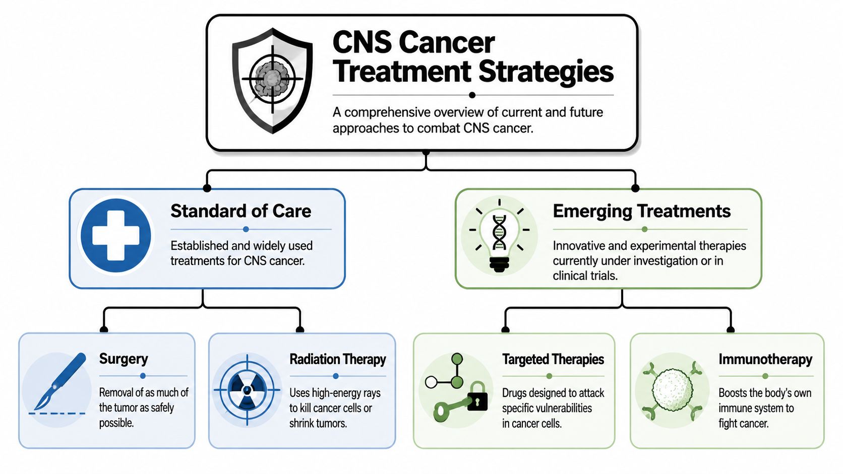 A flowchart detailing standard of care and emerging treatment strategies for central nervous system cancer.