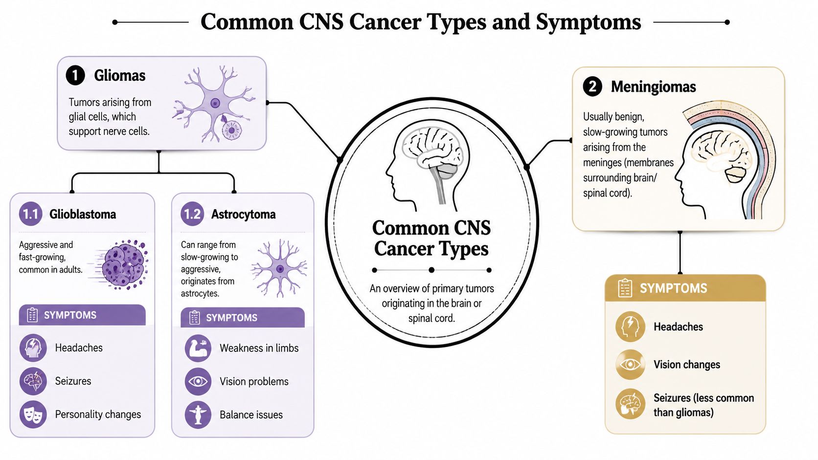 An infographic detailing common central nervous system cancer types, including gliomas, glioblastomas, astrocytomas, and meningiomas with associated symptoms.