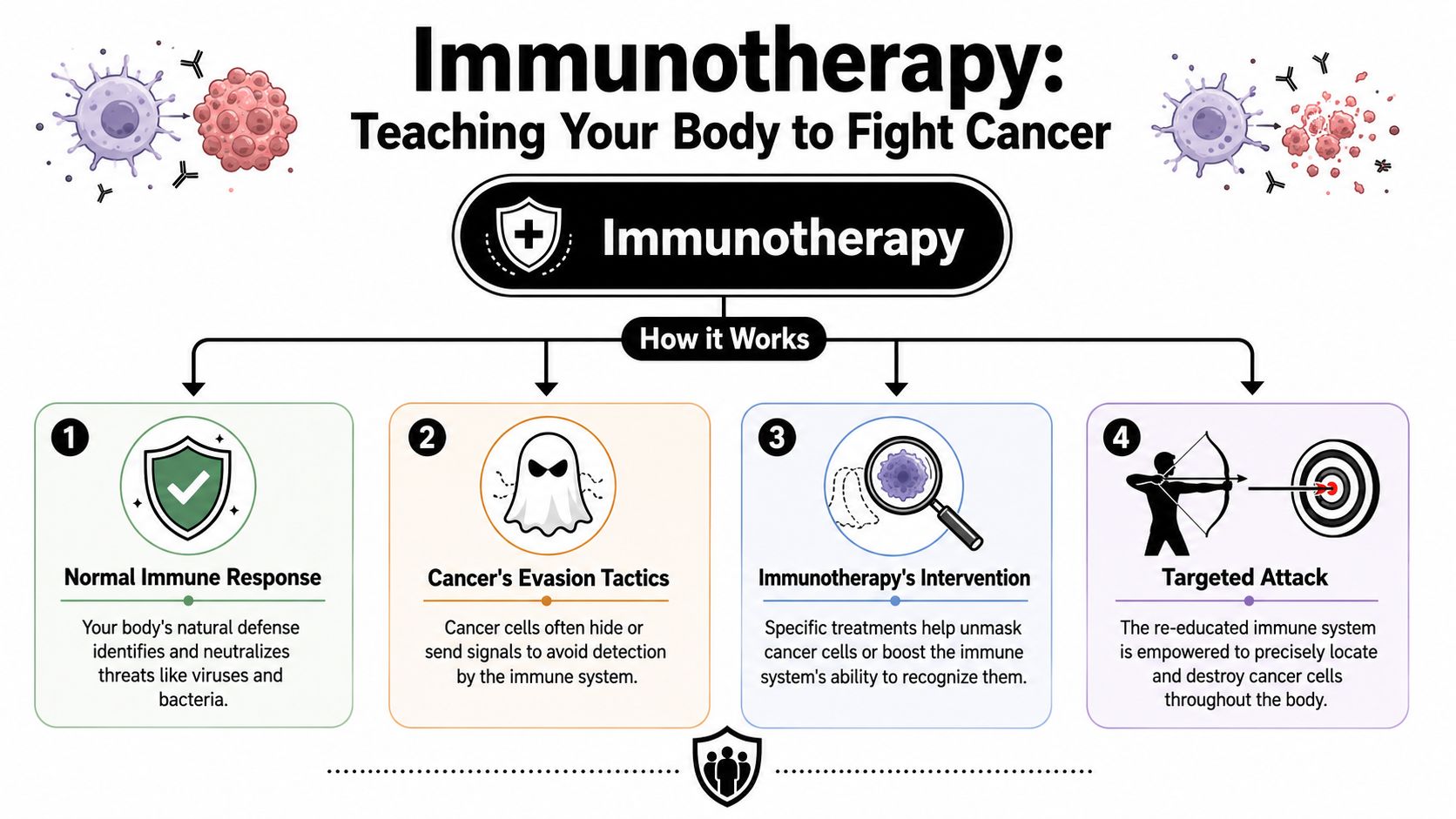 A diagram illustrating the immunotherapy process, showing how treatments help the immune system identify and fight cancer cells.