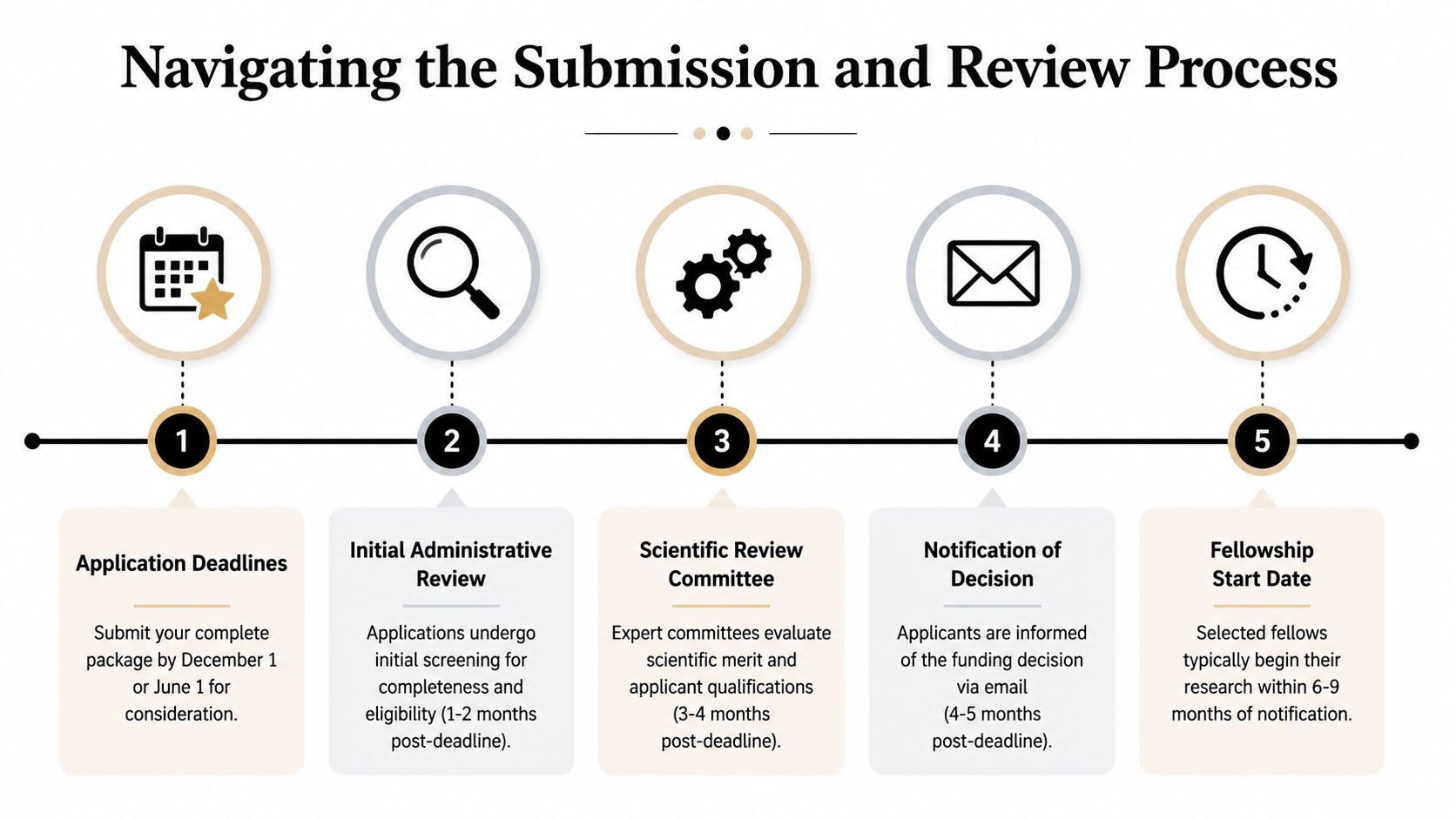 A five-step infographic showing the timeline for an academic postdoctoral fellowship submission and review process.