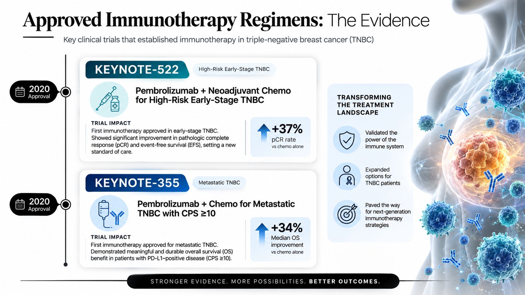 An infographic showing KEYNOTE-522 and KEYNOTE-355 clinical trials for triple-negative breast cancer immunotherapy treatments.