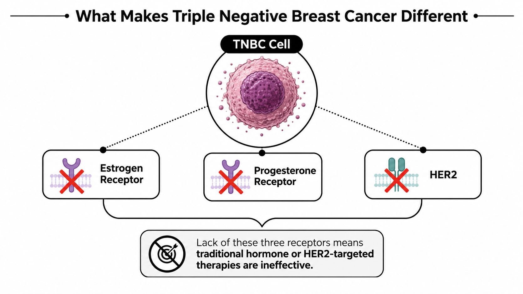 A diagram illustrating how triple negative breast cancer cells lack estrogen, progesterone, and HER2 receptors.
