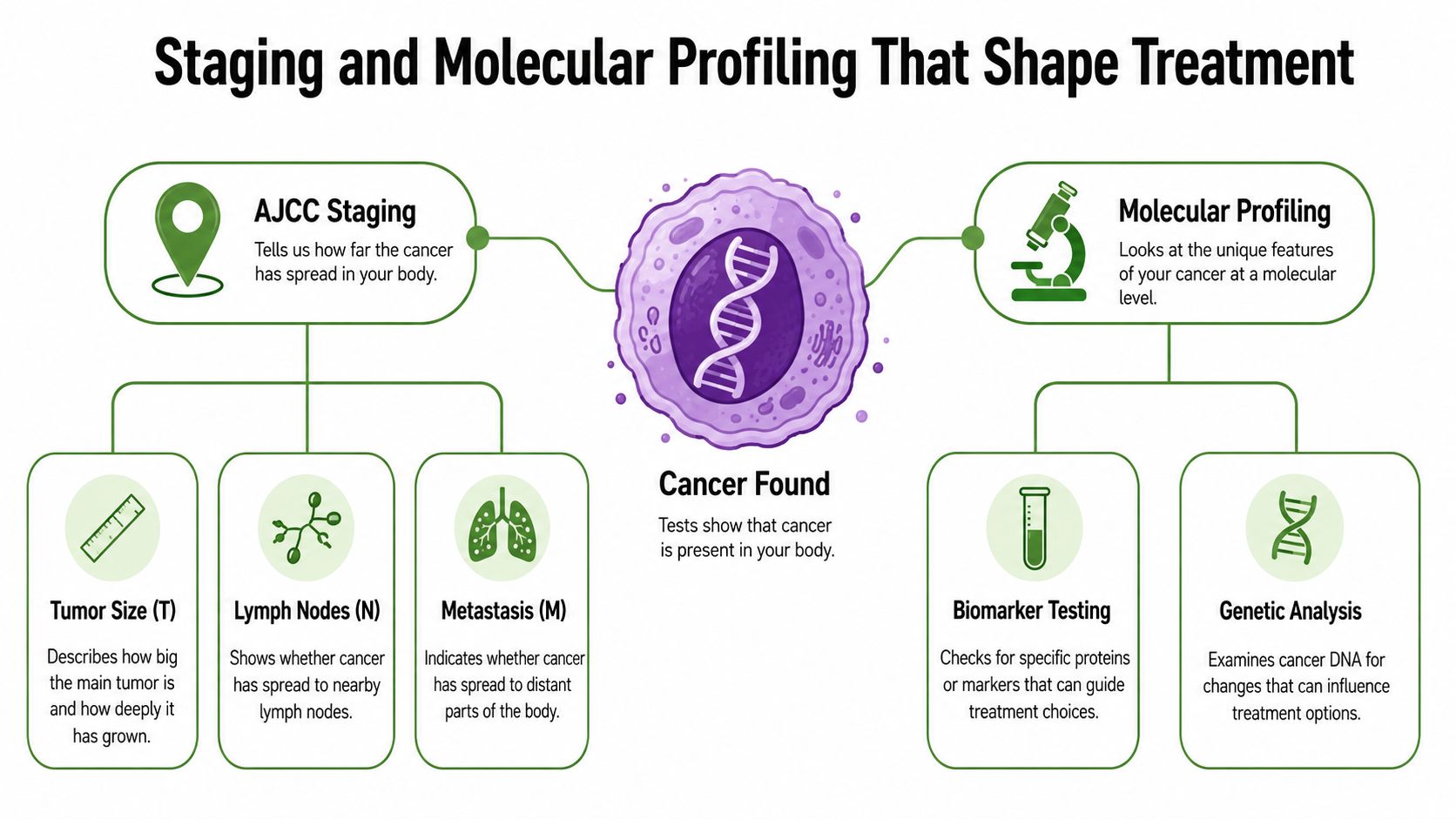 An infographic showing how cancer is staged and molecularly profiled to determine personalized treatment options.