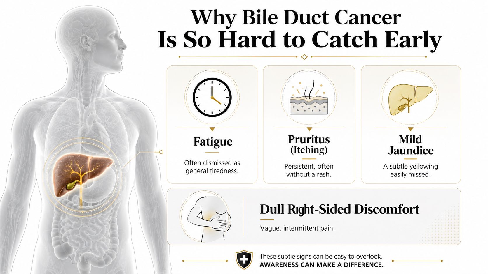 An infographic detailing common, subtle early symptoms of bile duct cancer such as fatigue, pruritus, jaundice, and discomfort.