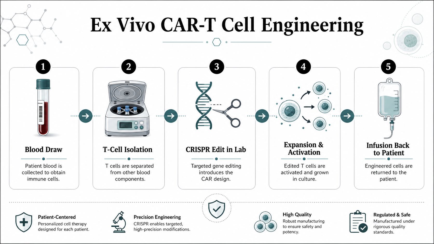 A five-step infographic showing the ex vivo CAR-T cell engineering process for cancer treatment therapy.