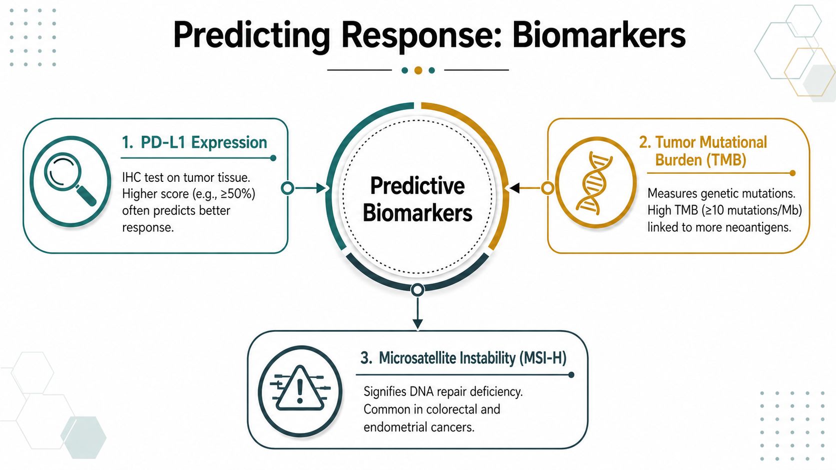 An infographic showing three predictive biomarkers for immunotherapy: PD-L1 expression, tumor mutational burden, and microsatellite instability.