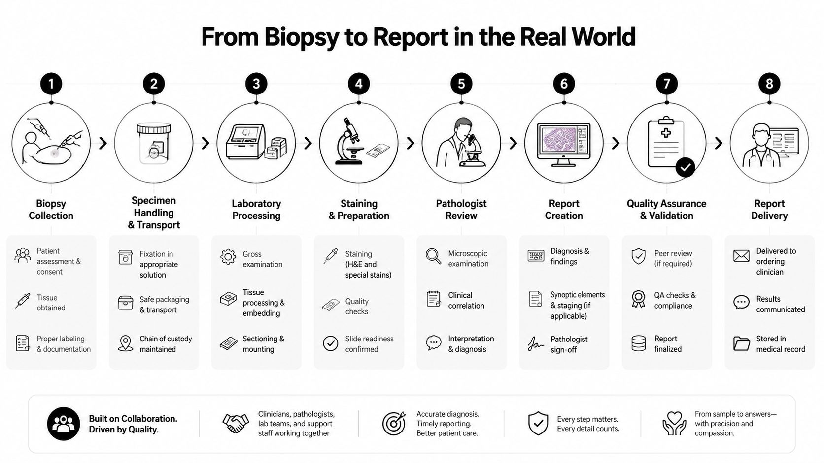 A diagram illustrating the eight-step clinical workflow process from initial biopsy collection to final medical report delivery.