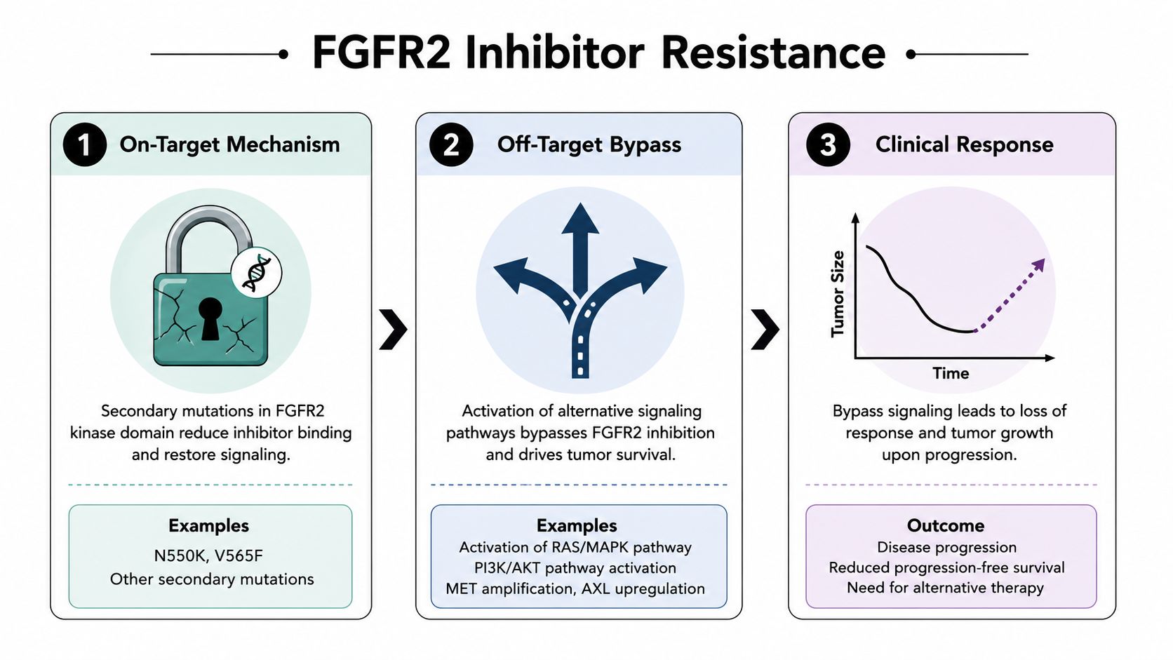 A diagram illustrating the mechanisms of FGFR2 inhibitor resistance in cancer, including on-target mutations and bypass signaling pathways.