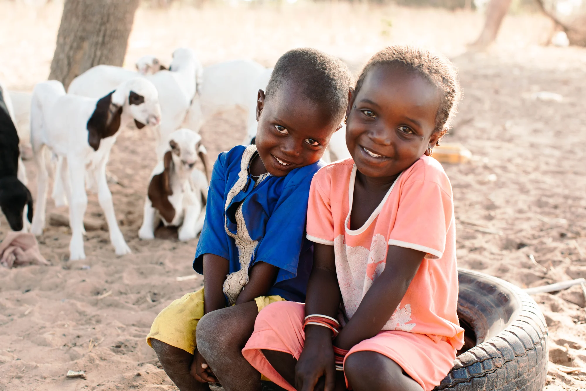 Two children sitting together beside their family's sheep