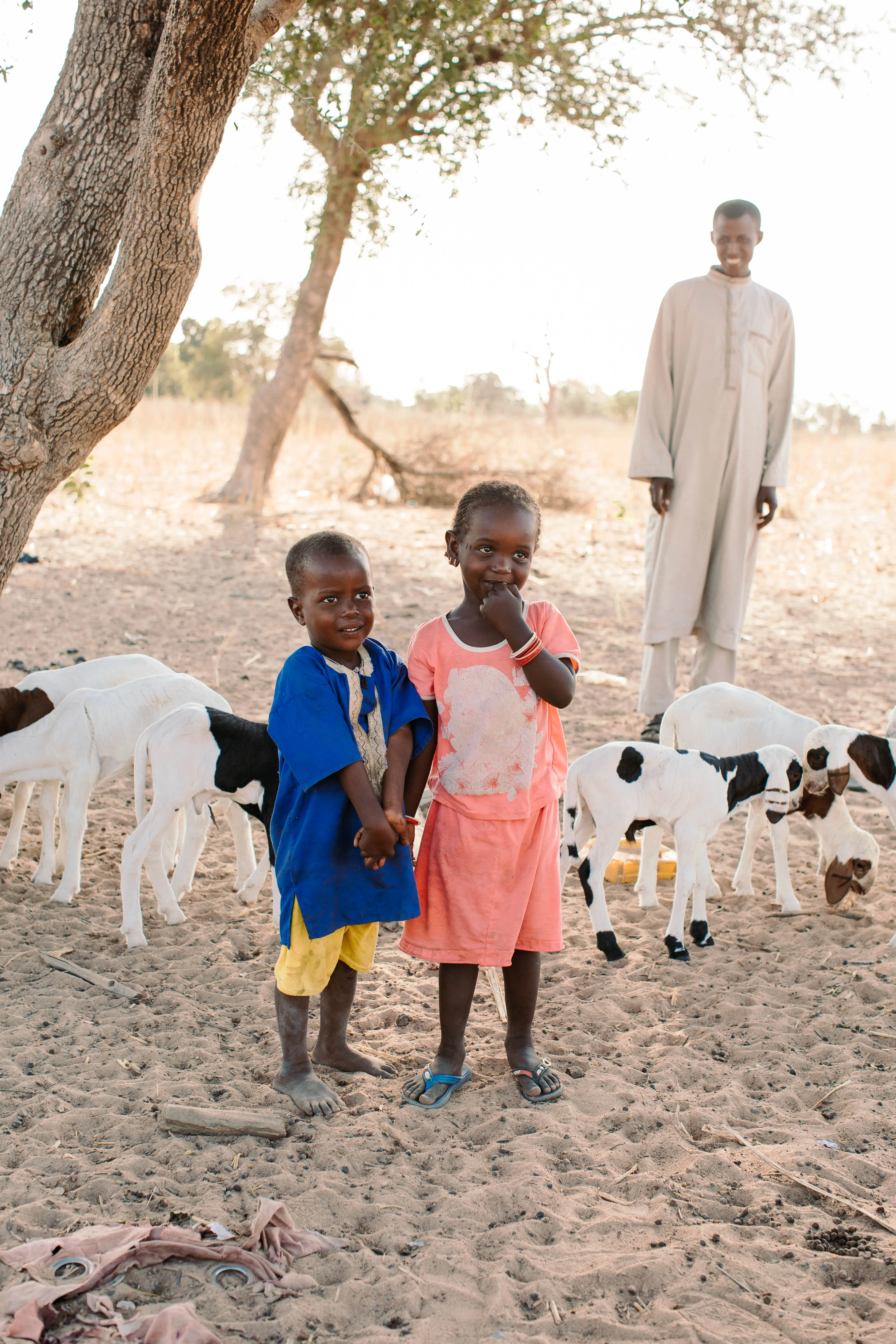 Two children standing among their family's young livestock