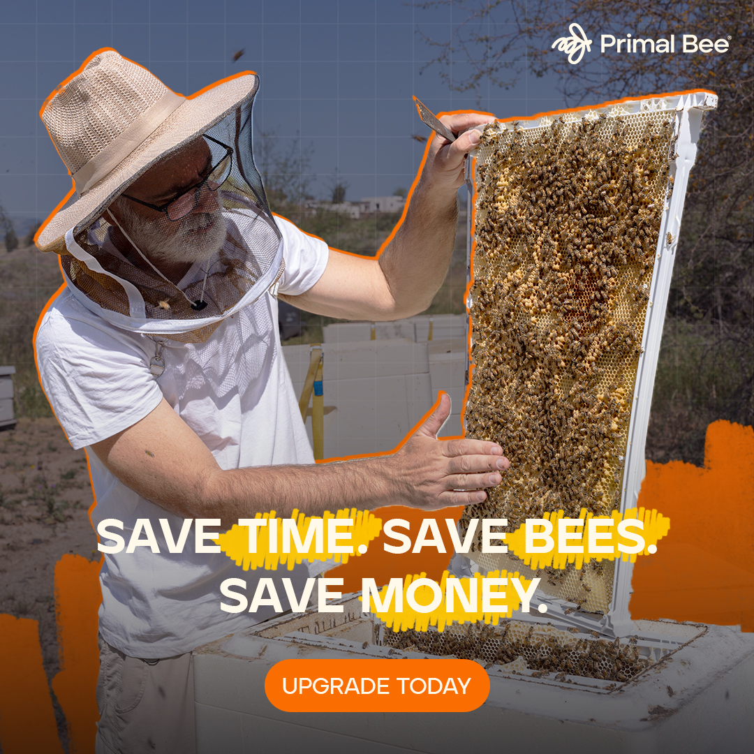 Beekeeper in a veiled hat holds up a full honeycomb frame in a sunlit yard, under the headline Save Time. Save Bees. Save Money.