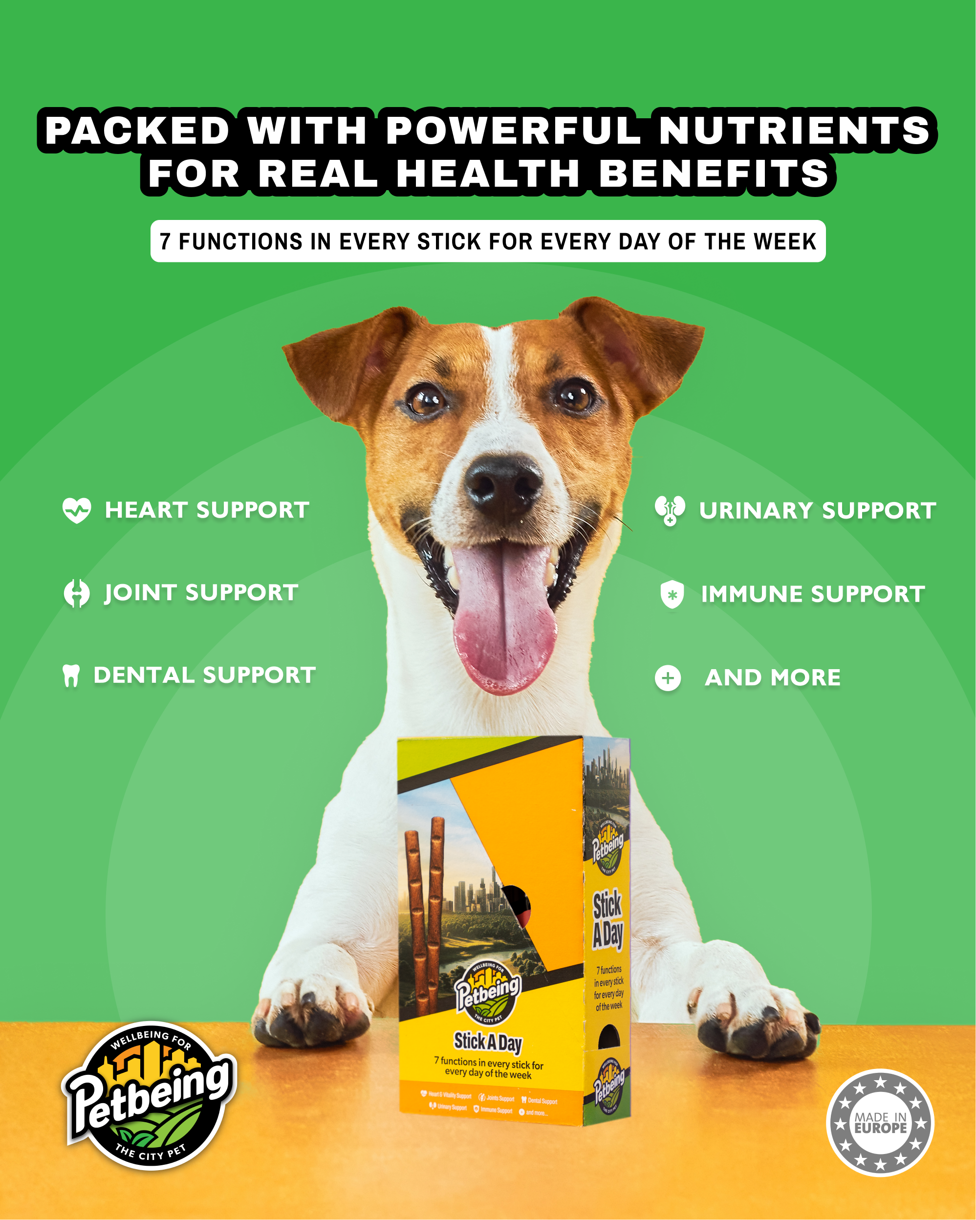 Jack Russell terrier with its paws on a table against a green background, next to Stick A Day boxes and a list of seven supported functions.