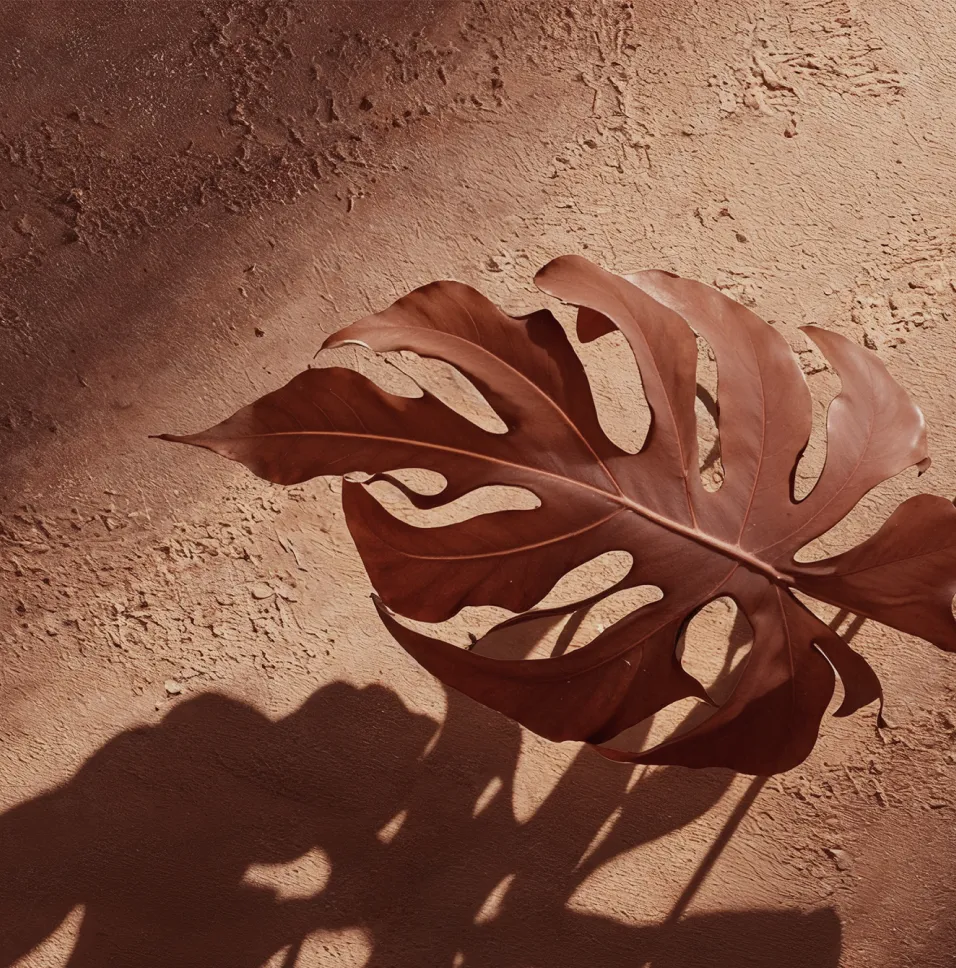 Mask group - 2025-05-27T184152.037