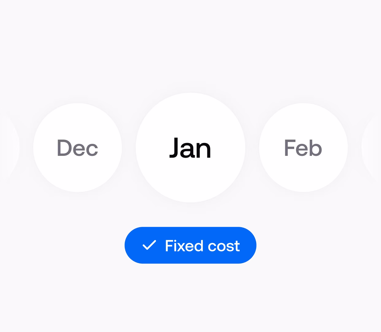 User interface selector showing months December, January (selected), and February with a blue button labeled Fixed cost checked.